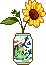 lacroix drink sprouting sunflower