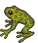mud frog